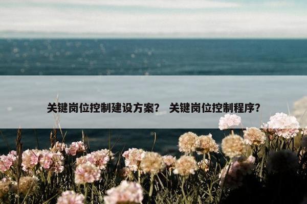 关键岗位控制建设方案？ 关键岗位控制程序？