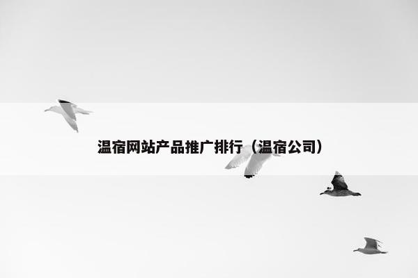 温宿网站产品推广排行（温宿公司）