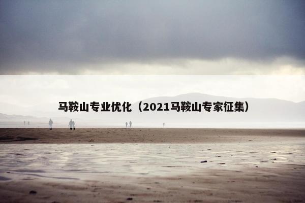 马鞍山专业优化（2021马鞍山专家征集）