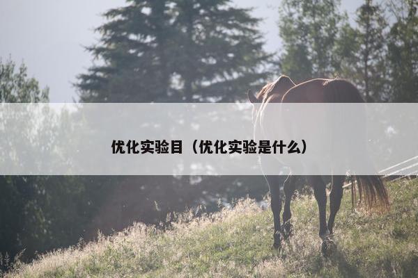 优化实验目（优化实验是什么）