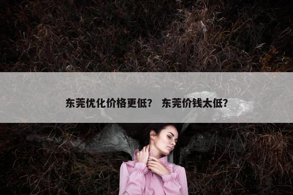 东莞优化价格更低？ 东莞价钱太低？