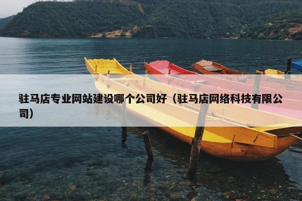 驻马店专业网站建设哪个公司好（驻马店网络科技有限公司）