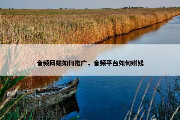 音频网站如何推广，音频平台如何赚钱