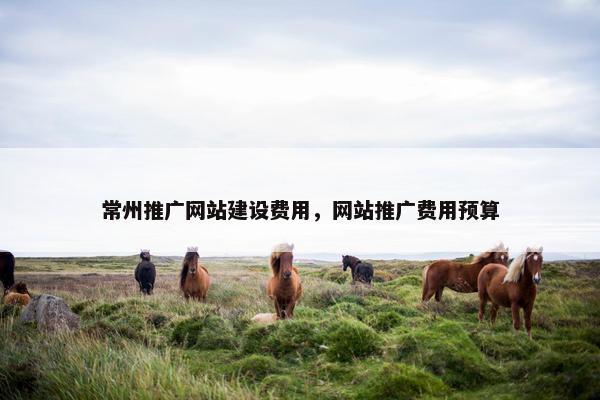 常州推广网站建设费用，网站推广费用预算