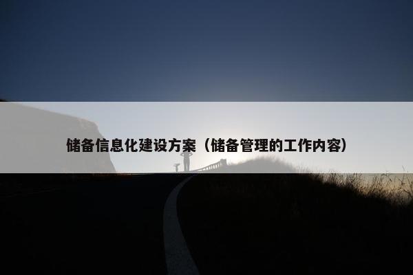 储备信息化建设方案（储备管理的工作内容）