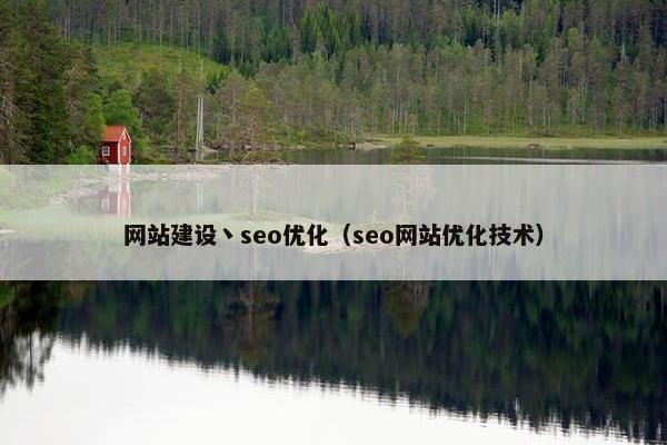 网站建设丶seo优化（seo网站优化技术）