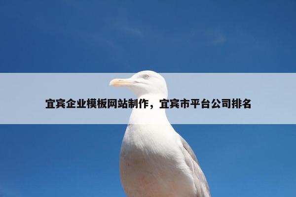 宜宾企业模板网站制作，宜宾市平台公司排名