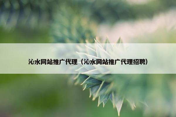 沁水网站推广代理（沁水网站推广代理招聘）
