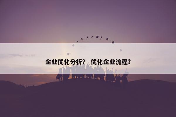企业优化分析？ 优化企业流程？