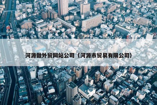 河源做外贸网站公司（河源市贸易有限公司）