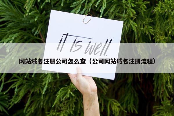 网站域名注册公司怎么查（公司网站域名注册流程）