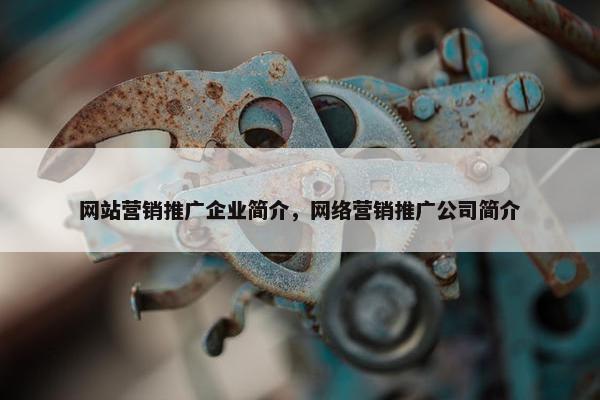 网站营销推广企业简介，网络营销推广公司简介