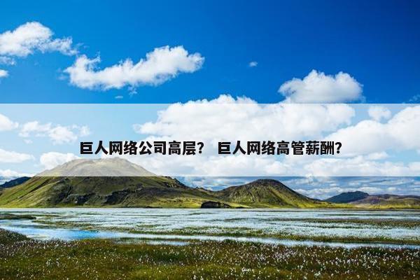 巨人网络公司高层？ 巨人网络高管薪酬？