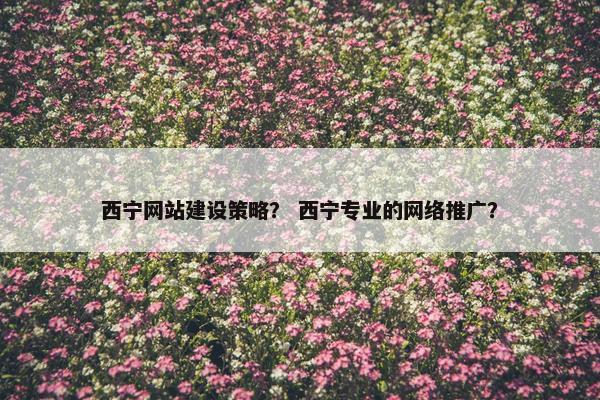 西宁网站建设策略？ 西宁专业的网络推广？