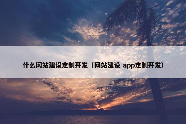 什么网站建设定制开发（网站建设 app定制开发）