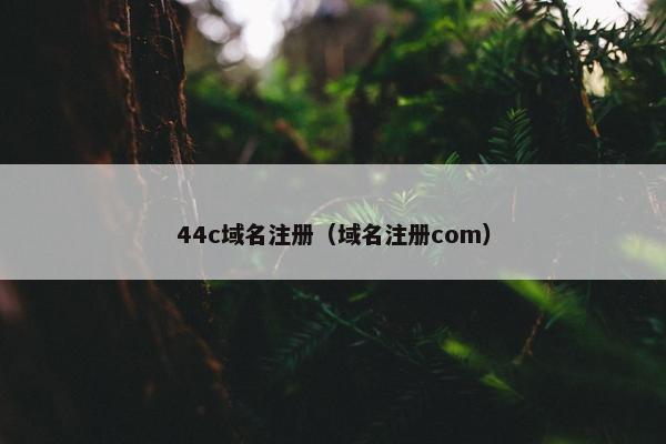 44c域名注册（域名注册com）