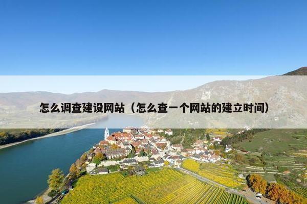 怎么调查建设网站（怎么查一个网站的建立时间）