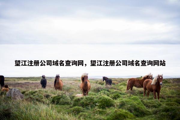 望江注册公司域名查询网，望江注册公司域名查询网站