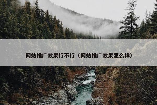 网站推广效果行不行（网站推广效果怎么样）