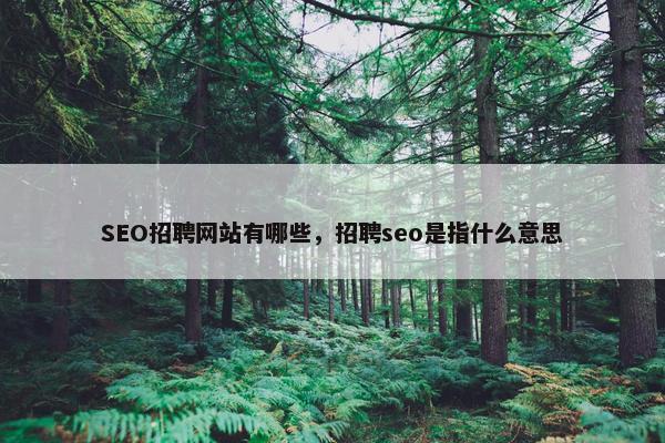 SEO招聘网站有哪些，招聘seo是指什么意思