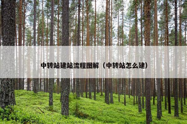 中转站建站流程图解（中转站怎么建）