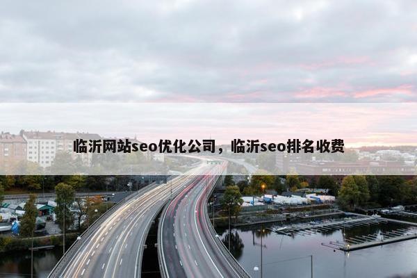 临沂网站seo优化公司，临沂seo排名收费
