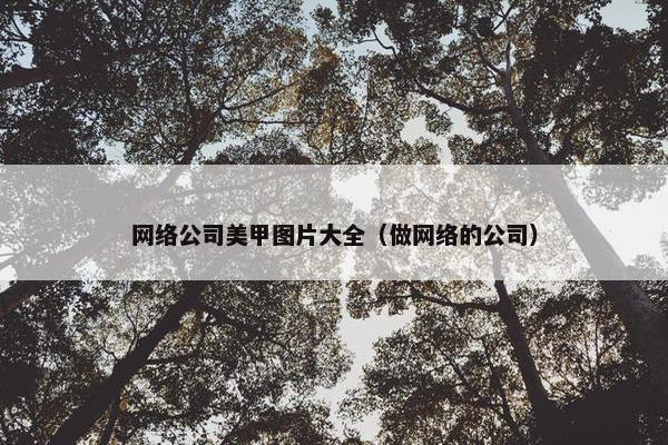 网络公司美甲图片大全（做网络的公司）