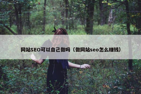 网站SEO可以自己做吗（做网站seo怎么赚钱）