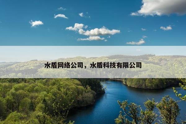 水盾网络公司，水盾科技有限公司