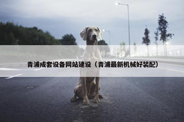 青浦成套设备网站建设（青浦最新机械好装配）