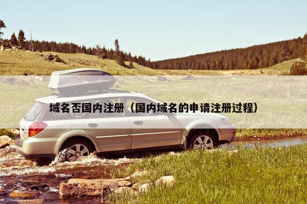 域名否国内注册（国内域名的申请注册过程）