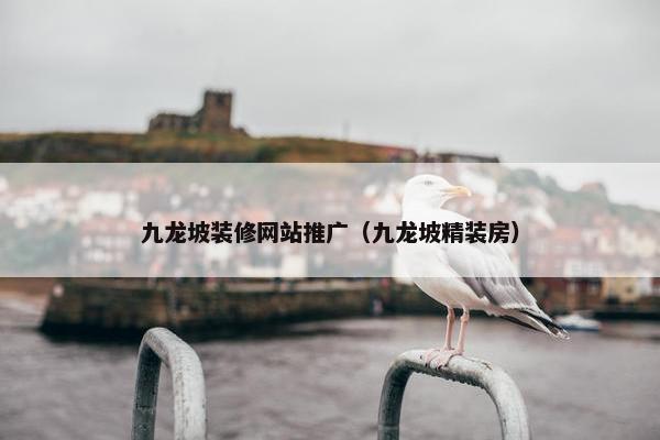 九龙坡装修网站推广（九龙坡精装房）