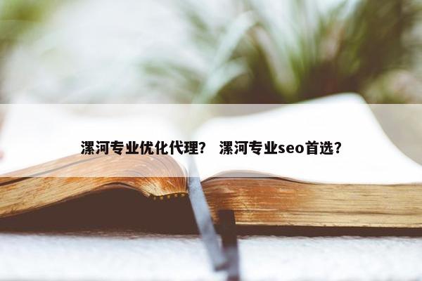 漯河专业优化代理？ 漯河专业seo首选？