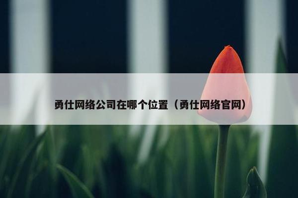 勇仕网络公司在哪个位置（勇仕网络官网）