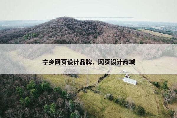 宁乡网页设计品牌，网页设计商城