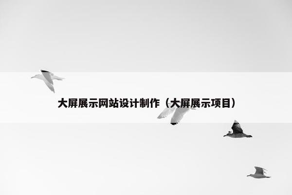 大屏展示网站设计制作（大屏展示项目）