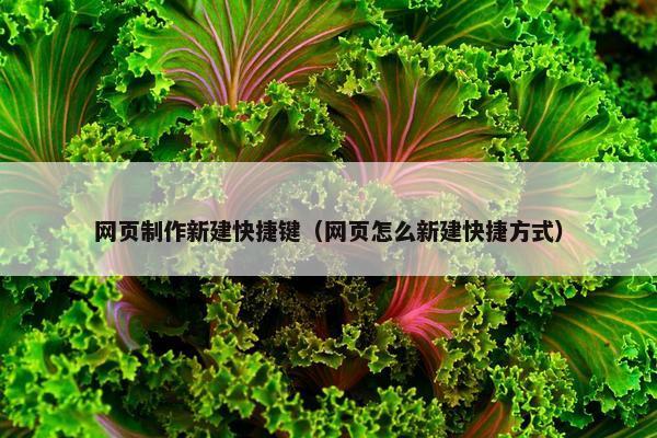 网页制作新建快捷键（网页怎么新建快捷方式）