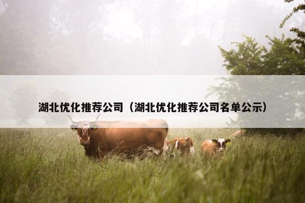 湖北优化推荐公司（湖北优化推荐公司名单公示）
