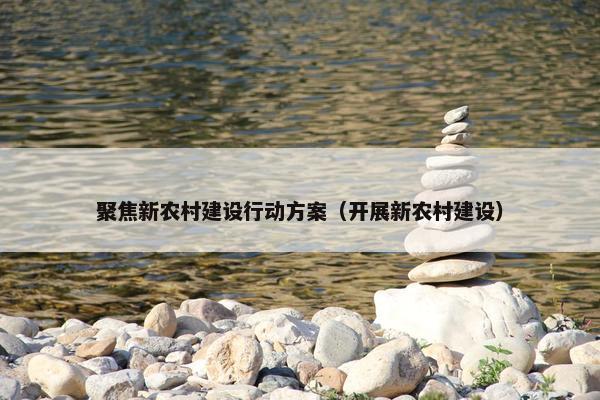 聚焦新农村建设行动方案（开展新农村建设）