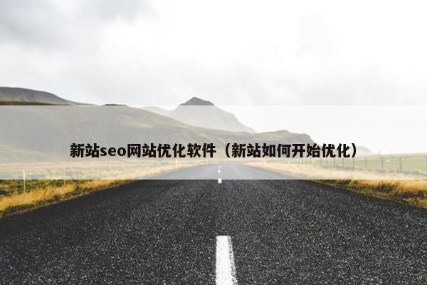 新站seo网站优化软件（新站如何开始优化）