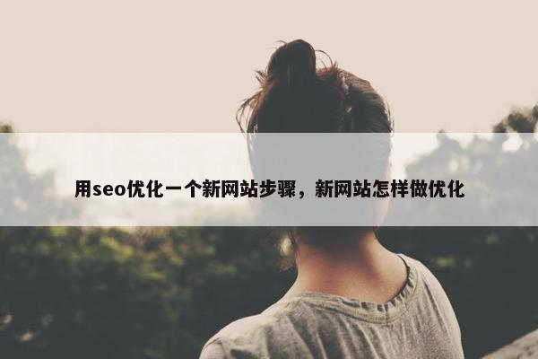 用seo优化一个新网站步骤，新网站怎样做优化