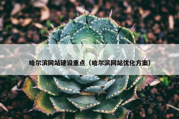 哈尔滨网站建设重点（哈尔滨网站优化方案）