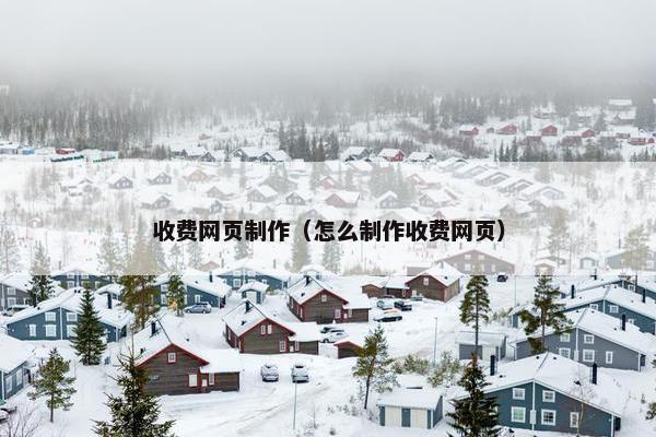 收费网页制作（怎么制作收费网页）
