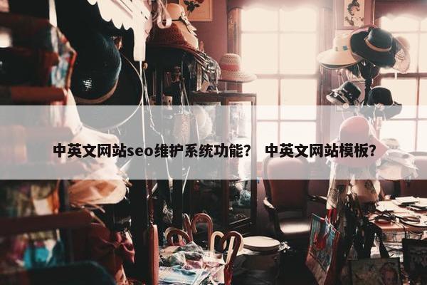 中英文网站seo维护系统功能？ 中英文网站模板？