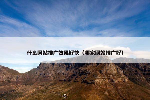 什么网站推广效果好快（哪家网站推广好）