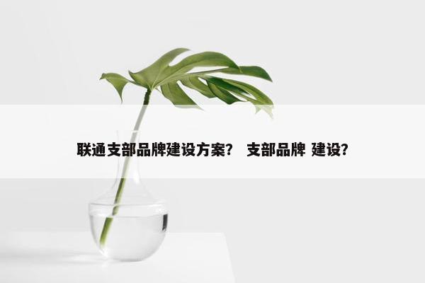联通支部品牌建设方案？ 支部品牌 建设？