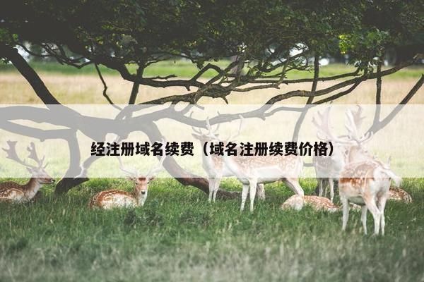 经注册域名续费（域名注册续费价格）