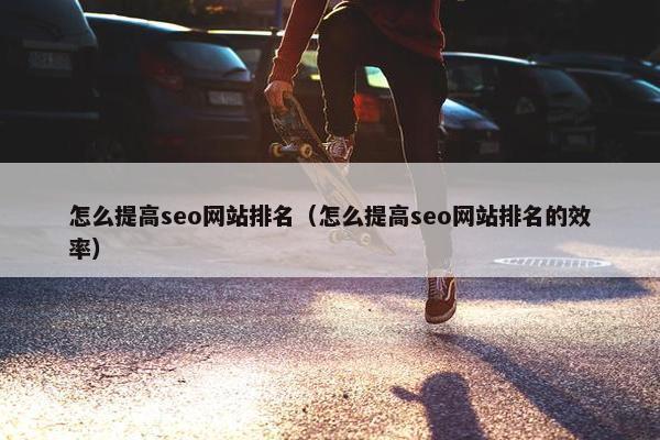 怎么提高seo网站排名（怎么提高seo网站排名的效率）