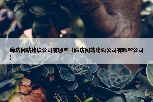 廊坊网站建设公司有哪些（廊坊网站建设公司有哪些公司）