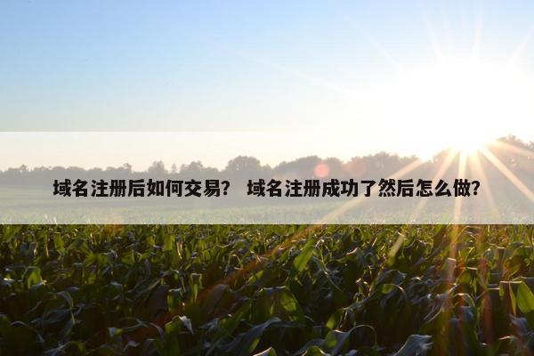 域名注册后如何交易？ 域名注册成功了然后怎么做？